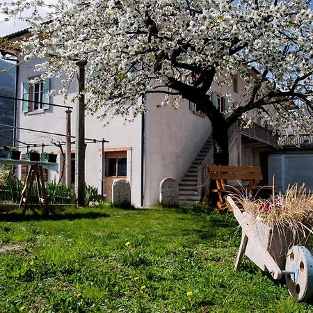 B&B La Fosina Меццоломбардо Екстер'єр фото